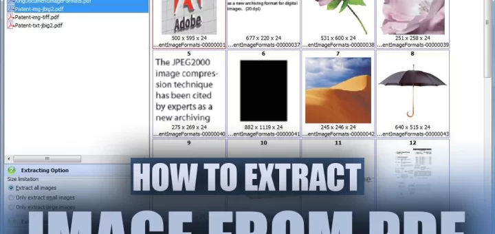 How to Extract Image from PDF Without Losing Quality