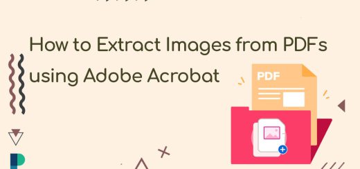 How to Extract Images from PDFs Using Adobe Acrobat